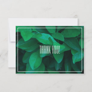 Blassgrüne Leaf-Pflanze Danke, Flachkarte