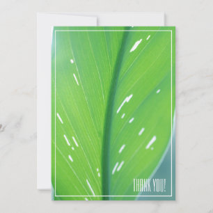 Blassgrüne Leaf-Pflanze Danke, Flachkarte Einladung