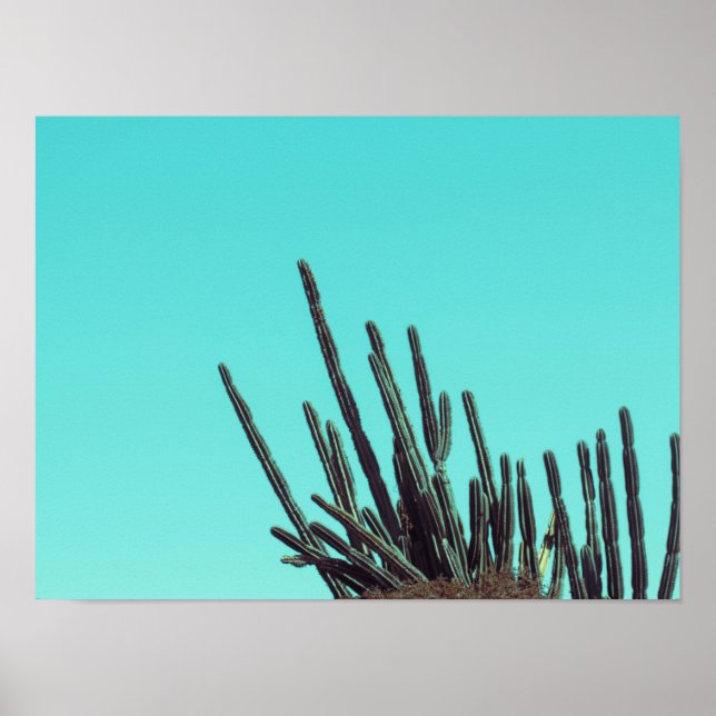 Blassgrüner Kakteen Sukkulente Pflanze Minimalismu Poster (Vorne)