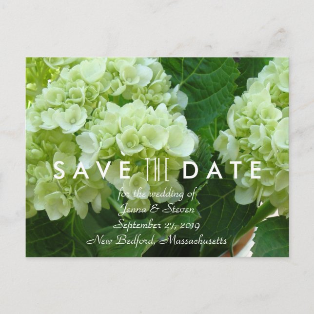 Blassgrünes Hydrangea Save the Date Postkarte (Vorderseite)