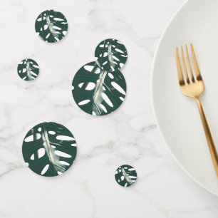 Blassgrünes Leaf Schweizer Käse Monstera deliciosa Konfetti