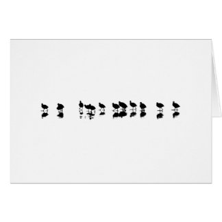 Blässhuhn-Entwurf - Schwarzes auf Weiß