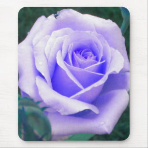 Blasslavender Rose Mouse-Pad Mousepad