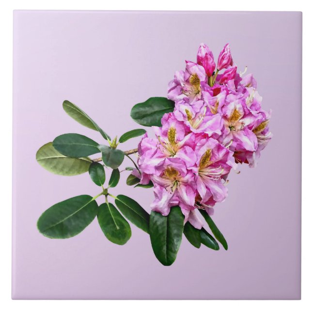 Blassrosa Rhododendron Fliese (Vorderseite)