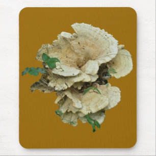 Blassrost-Fungus-Koordinaten Mousepad