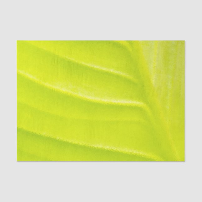 Blatt 10lb Tissue Paper Seidenpapier (Vorderseite)