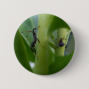 Blatt-füßiger Wanze ~ Knopf Button