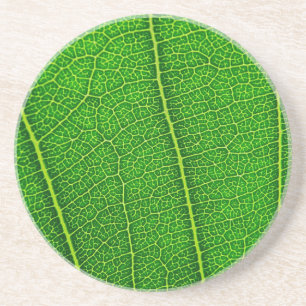 Blatt Getränkeuntersetzer