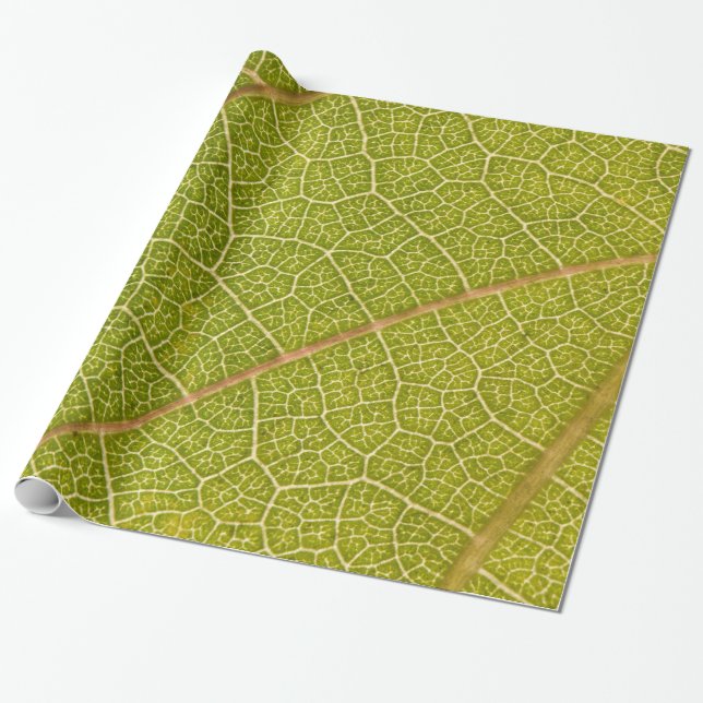 Blatt-MakroPackpapier Geschenkpapier (Ungerollt)