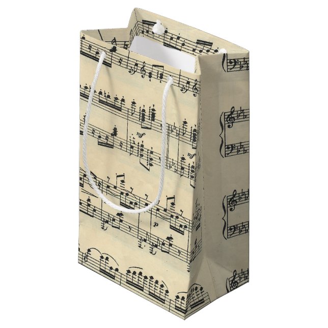 Blatt Music Bag Kleine Geschenktüte (Vorderseite Schrägansicht)