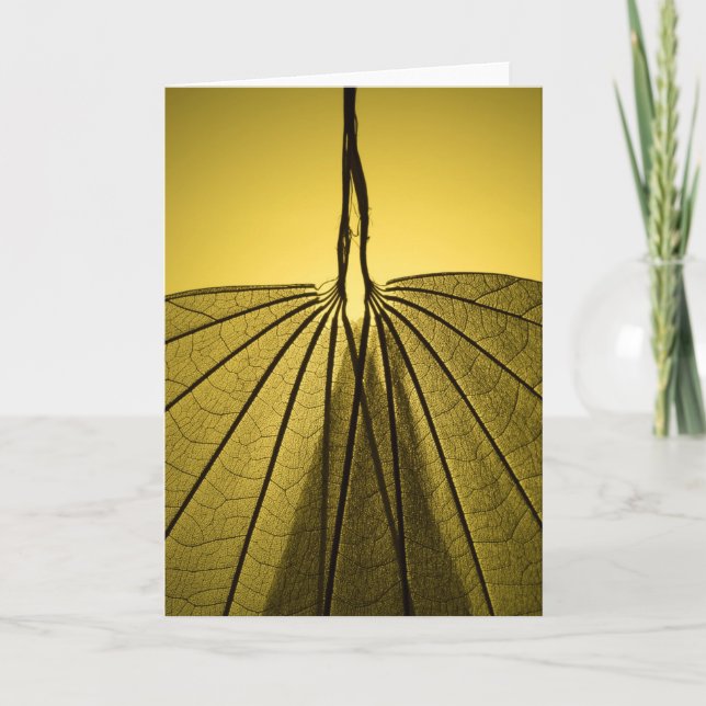 Blatt-Skelett Karte (Vorderseite)