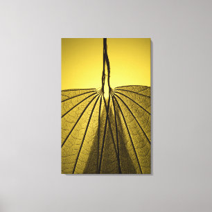 Blatt-Skelett Leinwanddruck