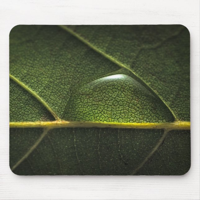 Blatt-Tröpfchen Mousepad (Vorne)