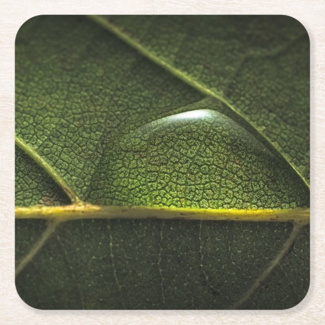 Blatt-Tröpfchen Rechteckiger Pappuntersetzer (Vorderseite)