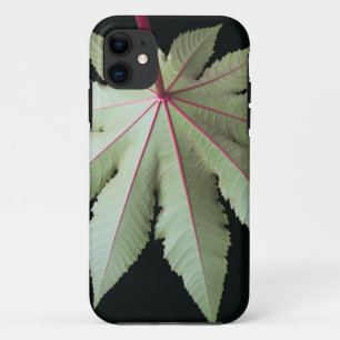 Blatt und Stamm iPhone 11 Hülle