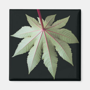 Blatt und Stamm Magnet