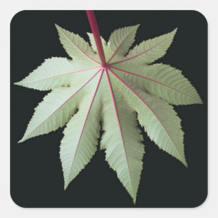 Blatt und Stamm Quadratischer Aufkleber