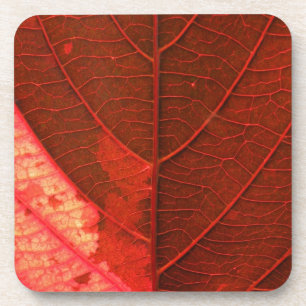 Blatt Untersetzer
