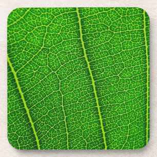 Blatt Untersetzer