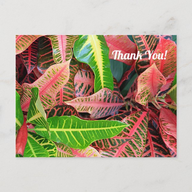 Blätter 3253 Danke, Postcard Postkarte (Vorderseite)