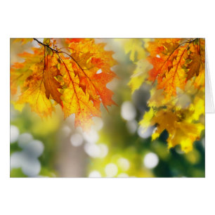 Blätter an den Ästen im Herbstwald