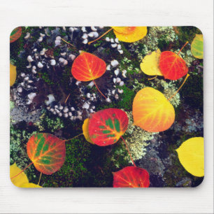Blätter auf einem mit Flechten bedeckten Felsen, R Mousepad