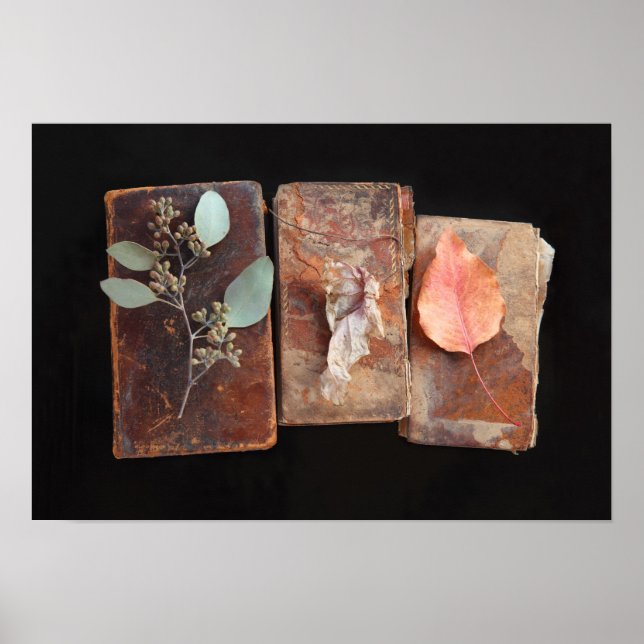 Blätter auf Vintagen Buchcover Poster (Vorne)