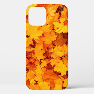 Blätter aus Herbstblättern Case-Mate iPhone Hülle