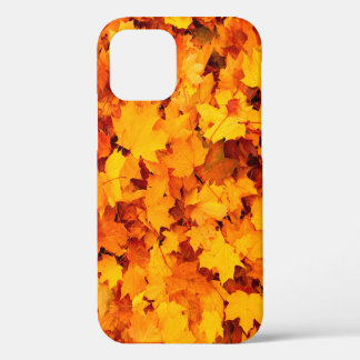 Blätter aus Herbstblättern iPhone 12 Hülle