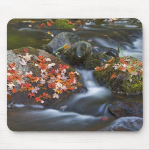 Blätter aus rotem Ahorn Teppichboden in den Felsen Mousepad