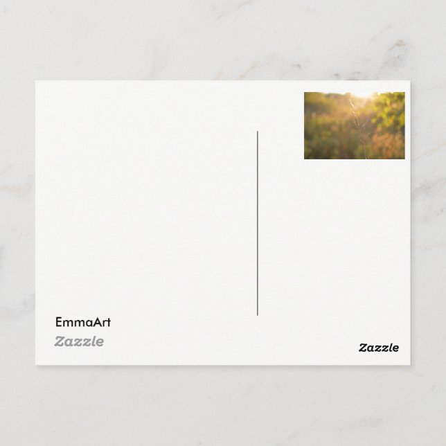 Blätter bei Sonnenuntergang Postkarte (Rückseite)