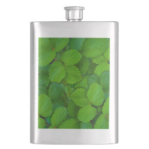 Blätter der Heiligen Basil Tulsi Grüne Münze Flachmann
