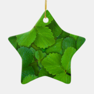 Blätter der Heiligen Basil Tulsi Grüne Münze Keramik Ornament