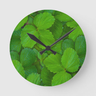 Blätter der Heiligen Basil Tulsi Grüne Münze Runde Wanduhr