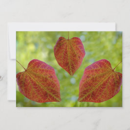 Blätter der Liebe der Natur Dankeskarte