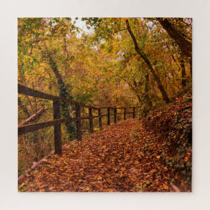 Blätter des Herbstfalls Bäume Natur orange Gelb