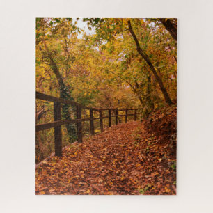 Blätter des Herbstfalls Bäume Natur orange Gelb