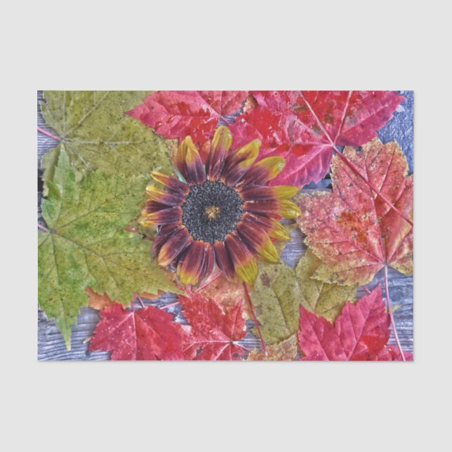Blätter des Herbstsonnenblütenrot Seidenpapier (Vorderseite)