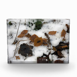 Blätter, die im Schnee-Urlaubskartenplakat liegen Fotoblock