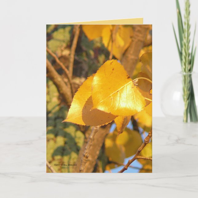 Blätter, die sprechen karte (Vorderseite)