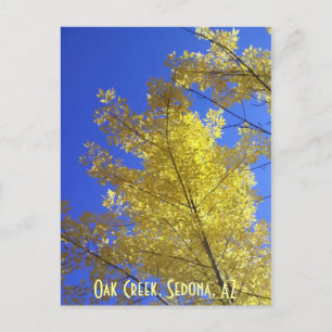 Blätter, Eichenbach, Sedona, AZ Postkarte