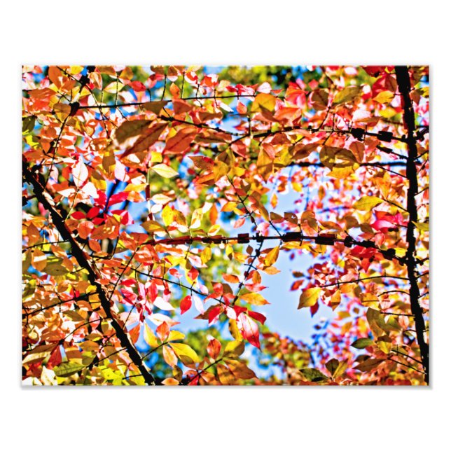 Blätter Fotodruck (Vorne)