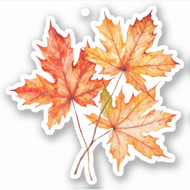 Blätter für Aquarellmaple Aufkleber (Vorderseite)