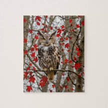 Blätter für Eule und Ahorn