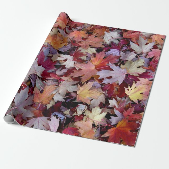 Blätter für gefallene Herbstbaume Geschenkpapier (Ungerollt)