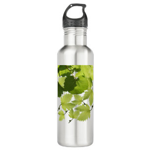 Blätter für grünen Weinbau Edelstahlflasche
