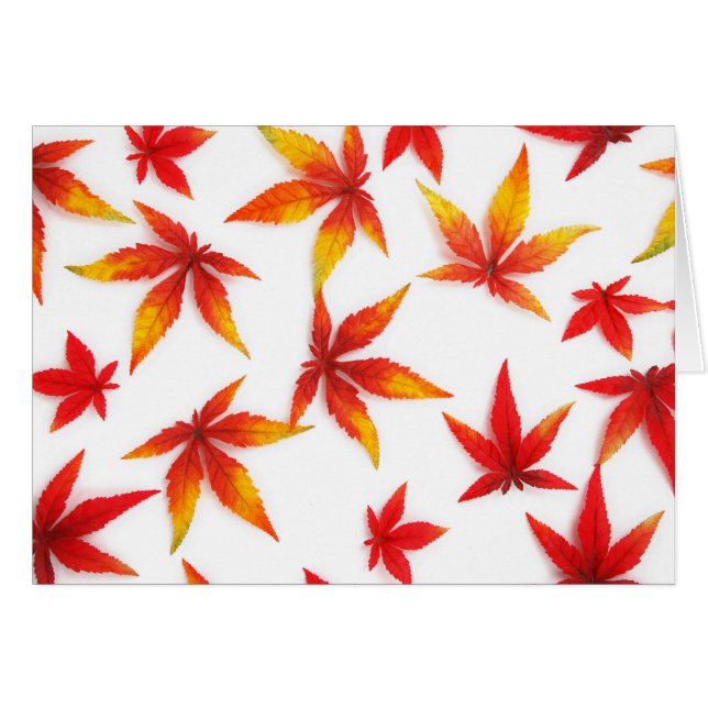 Blätter für rote Herbstmaple (Vorderseite (Horizontal))