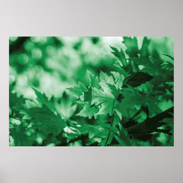 Blätter Grüne Hintergrund Poster (Vorne)