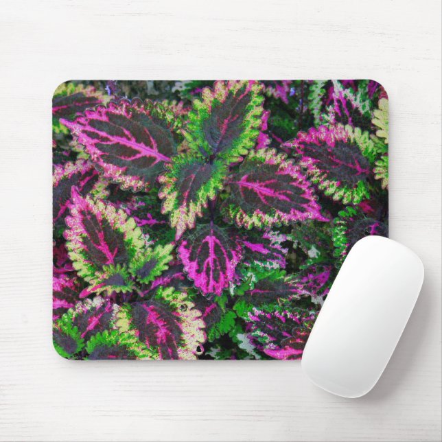 BLÄTTER GRÜNE UND MAGENTA COLEUS MOUSEPAD (Mit Mouse)