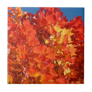 Blätter Herbst Tiles Art Orange Herbst Baum Fliese